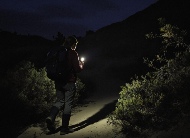 Tips to stay safe from rattlesnakes in Arizona outdoors